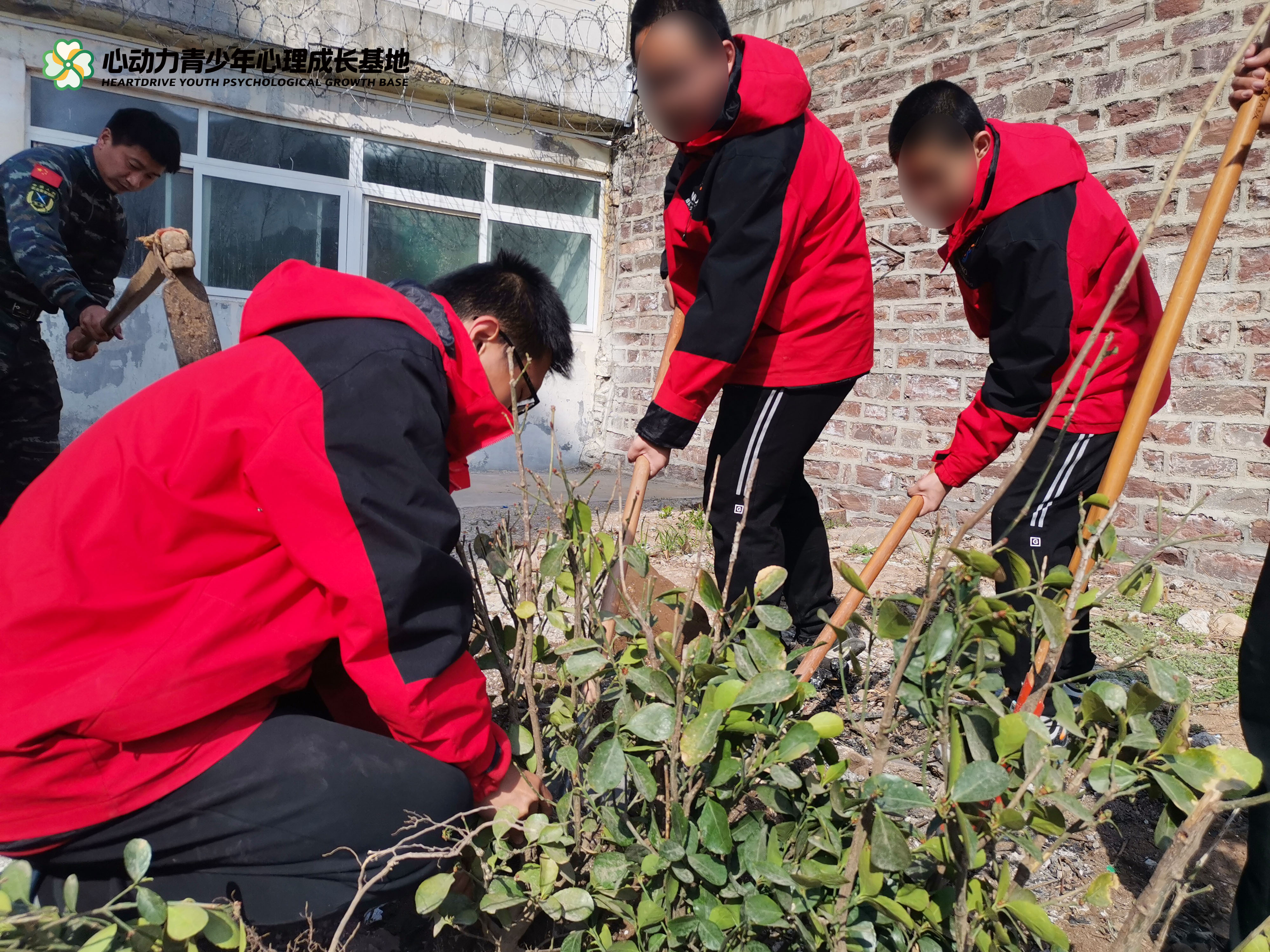  户外种植